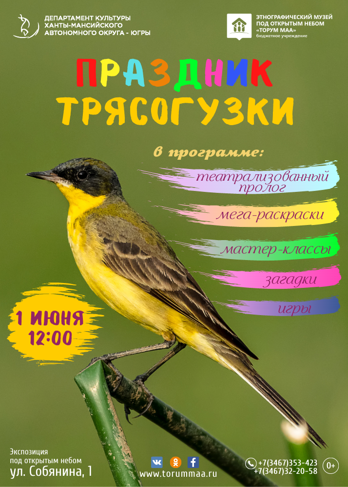 В Международный день защиты детей чествуем птичку-невеличку Трясогузку