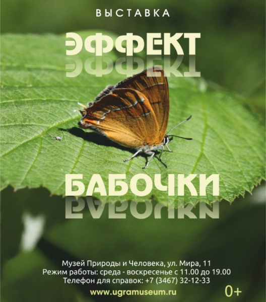 Музей Природы и Человека приглашает увидеть «Эффект бабочки»