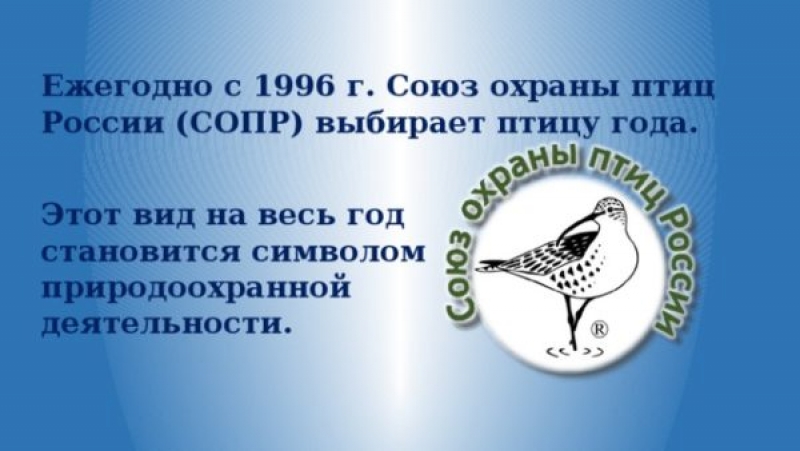 Выставка, посвященная Птице года, открылась в Музее Природы и Человека