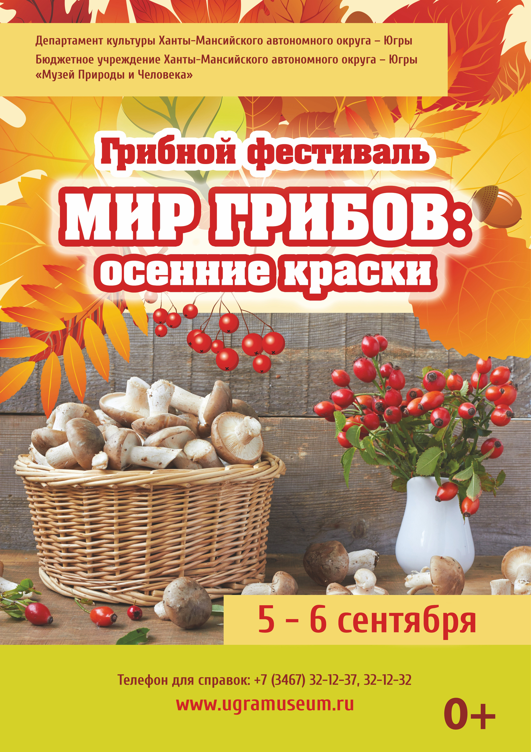 Онлайн-фестиваль в Музее Природы и Человека расскажет всё о грибах