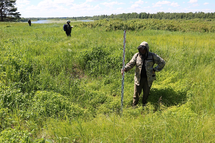 Грант на исследование археологических памятников в Нижнем Прииртышье получил Музей Природы и Человека