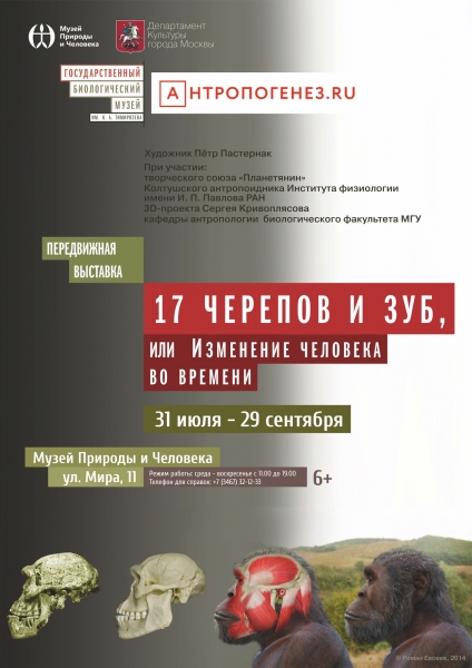 Выставка Музея Природы и Человека расскажет об изменениях человека во времени