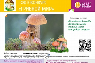 Музей Природы и Человека организует "Грибной фестиваль"