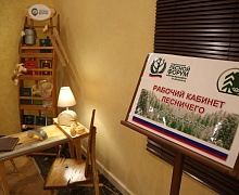 II этап Национального лесного форума