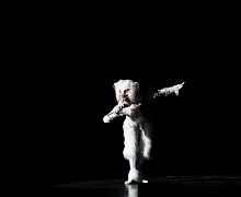Сказка-Балет «Алиса в Стране чудес» 
