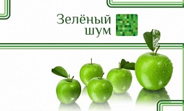 VI молодёжный фестиваль искусств «Зелёный шум» 