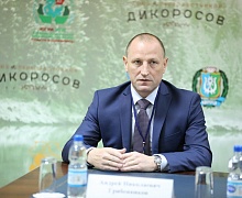 II этап Национального лесного форума