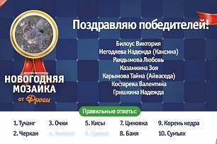 Определены победители онлайн-викторины "Новогодняя мозайка от Фроси" 