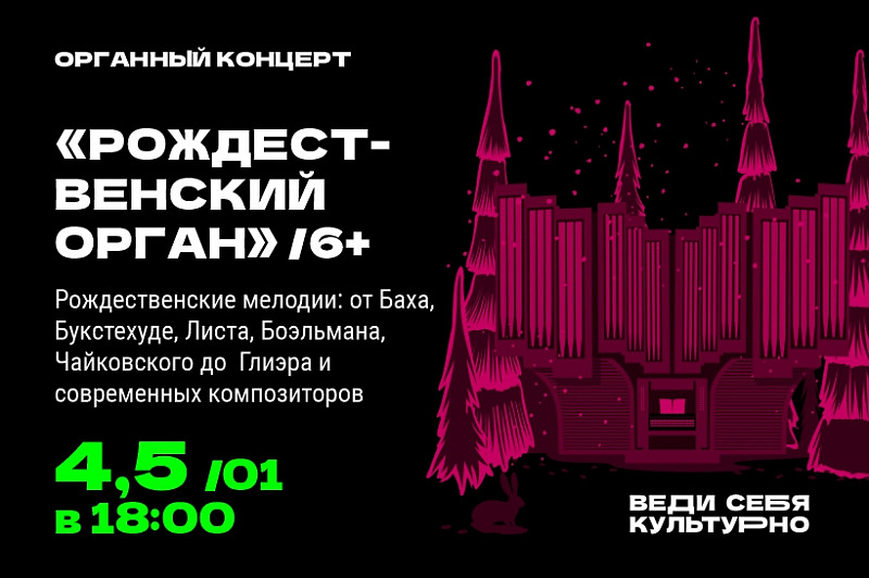 «Рождественский орган»