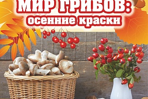 Онлайн-фестиваль в Музее Природы и Человека расскажет всё о грибах