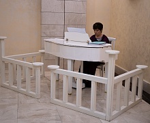 Концертная программа «Рождественский орган»