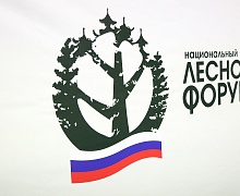 II этап Национального лесного форума