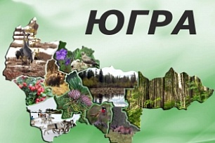 Конкурс на лучшую песню к 90-летию со Дня образования автономного округа объявлен в Югре