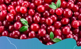 Югра праздничная!