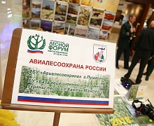 II этап Национального лесного форума